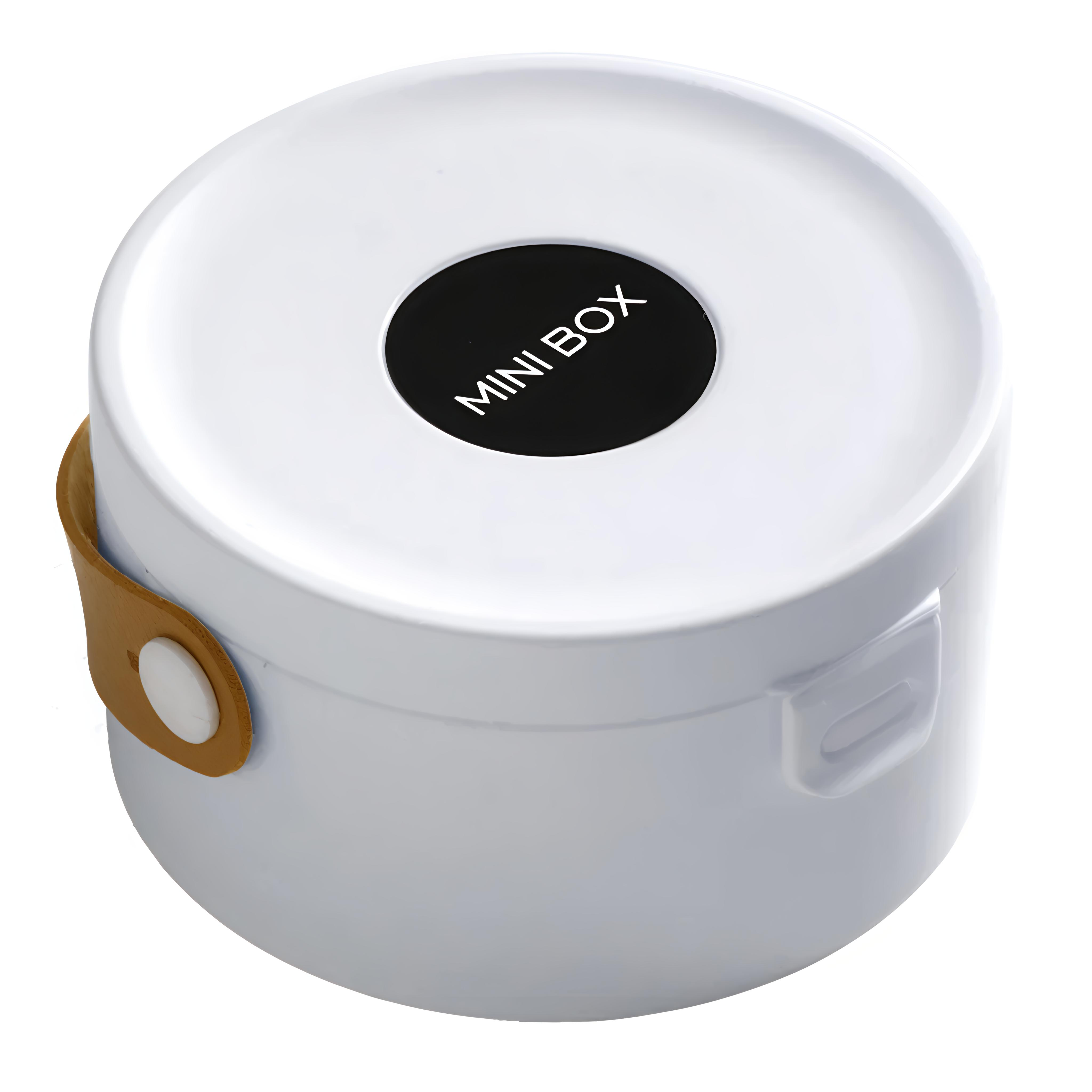 Lazer Mini Portable Jewellery Box Organized with Mirror, Portable Display Storage Container Box with Removable Compartments For Rings, Earrings, Necklaces, Gifts